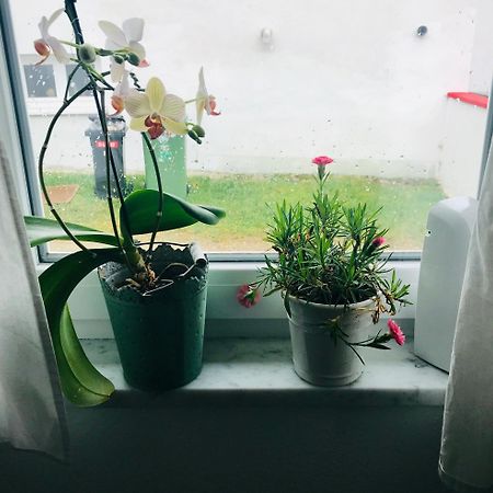 La Toskana Apartment Ihr Rueckzugsort Am Regen Zeitlarn Εξωτερικό φωτογραφία