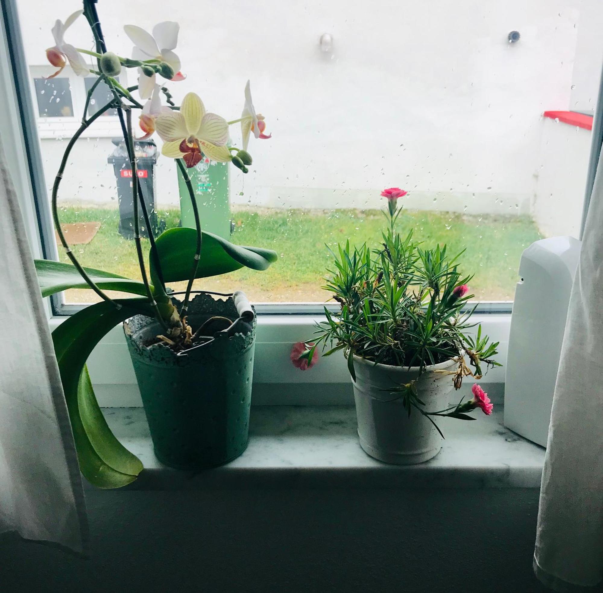 La Toskana Apartment Ihr Rueckzugsort Am Regen Zeitlarn Εξωτερικό φωτογραφία